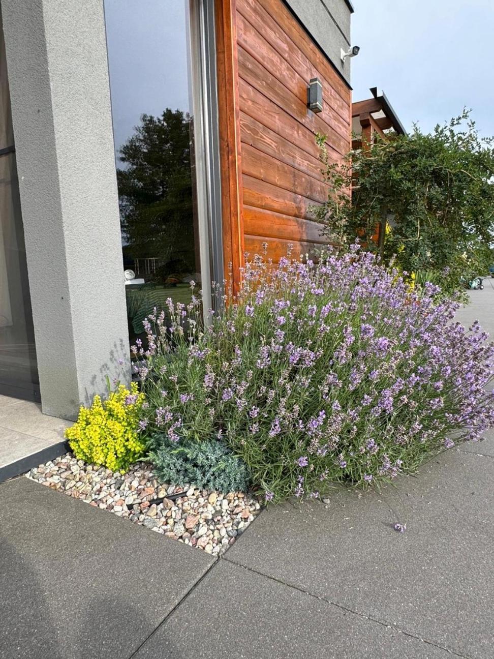 CISZA Bungalows Village / Blisko Natury Nowecin Zewnętrze zdjęcie